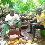 Cocoa 3 - Promoter enrolling a certified AGRIAL Cocoa farmer right in his garden in In Broukro village, Daloa