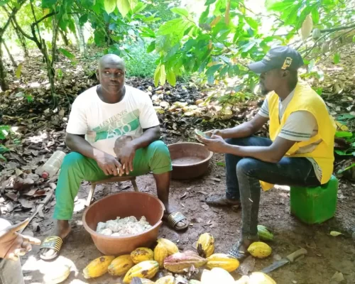 Cocoa-3-Promoter-enrolling-a-certified-AGRIAL-Cocoa-farmer-right-in-his-garden-in-In-Broukro-village-Daloa.webp